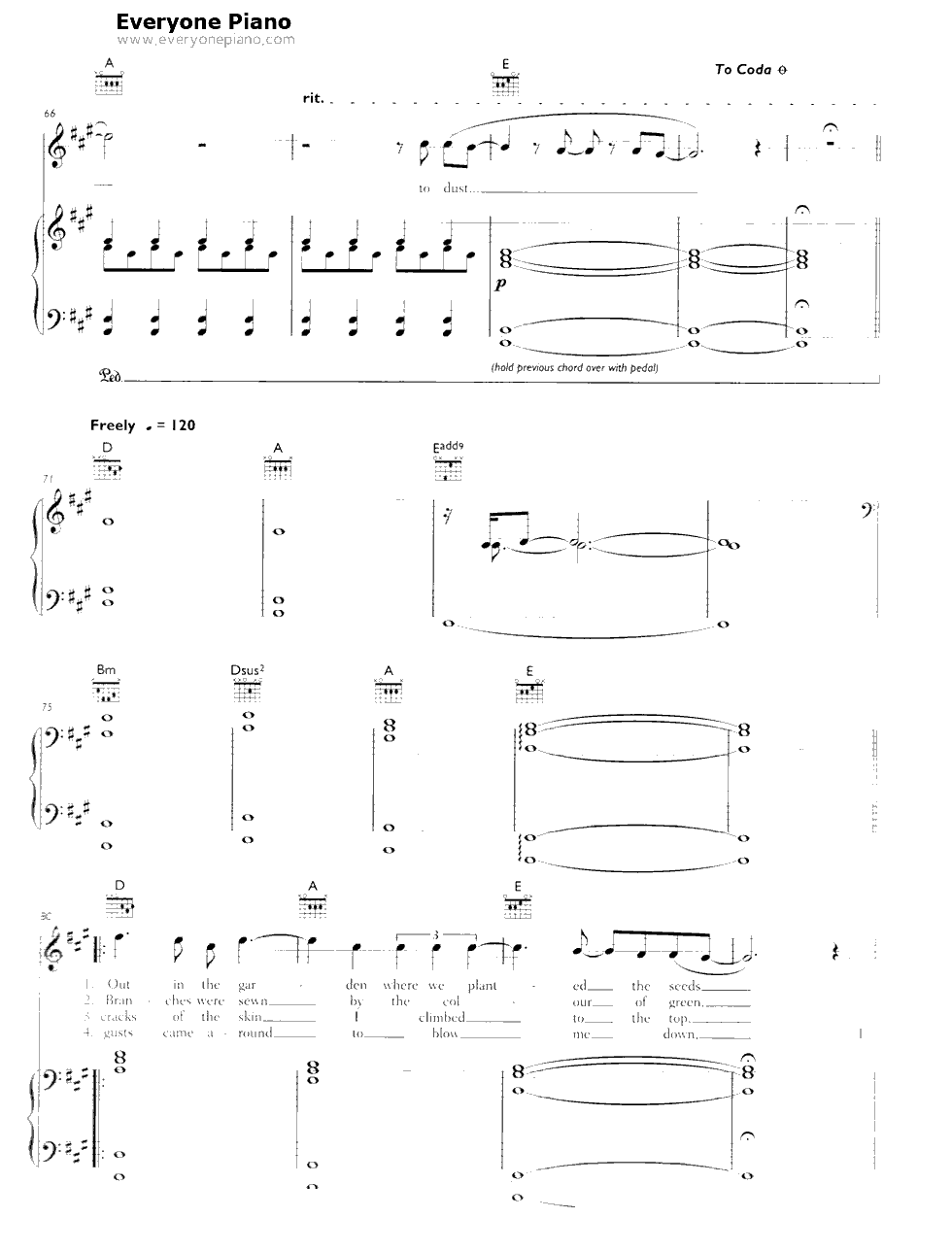 To Build a Home-The Cinematic Orchestra钢琴谱5