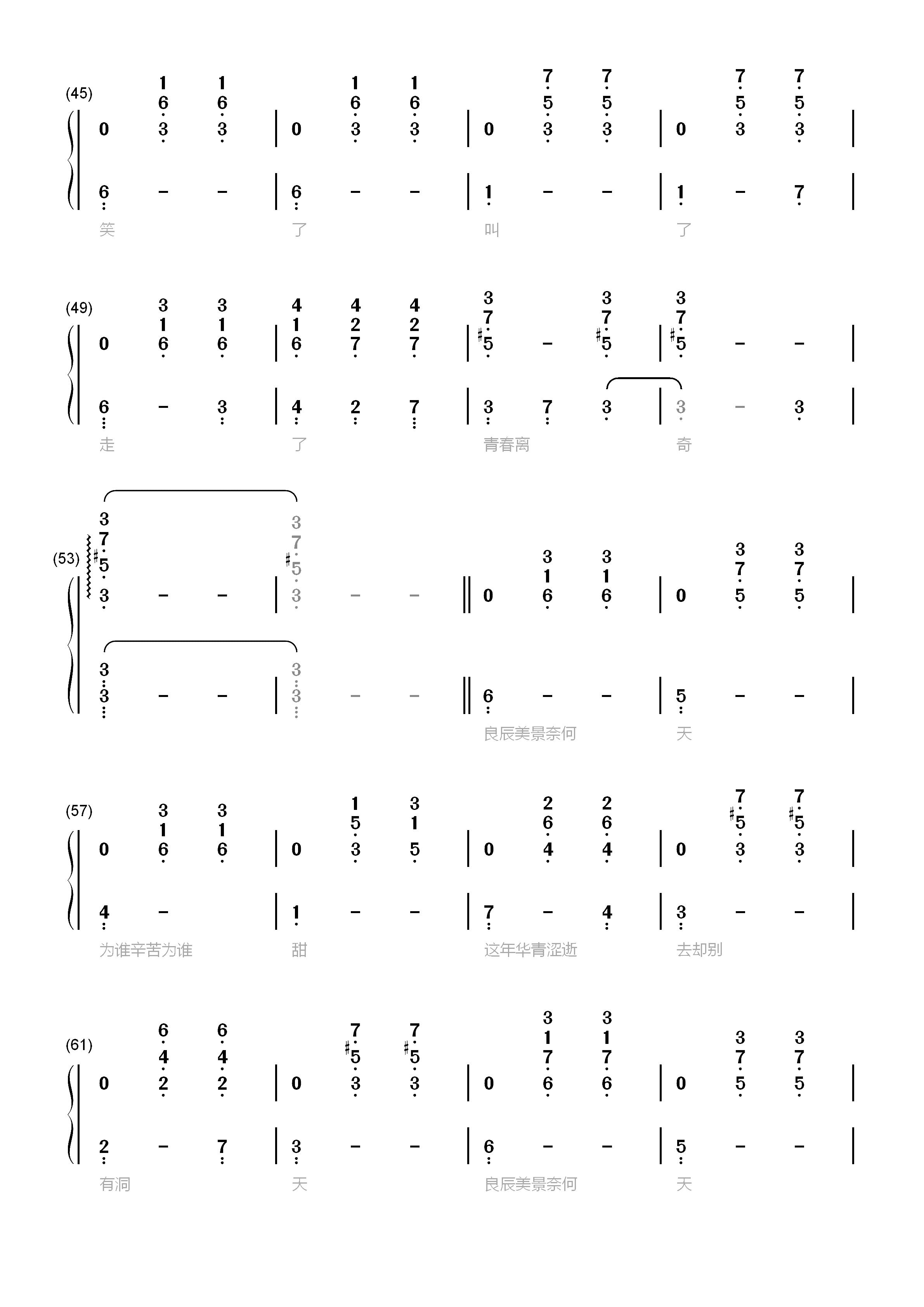 致青春-弹唱谱双手简谱预览3